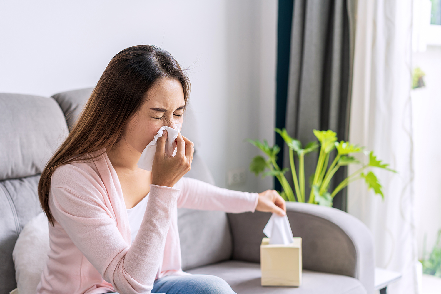 home air quality - spring allergies